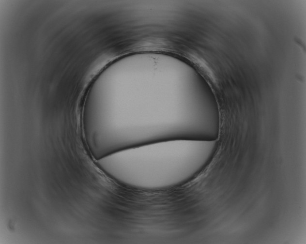X0000094081419200710190907