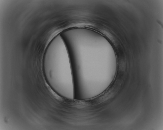 X0000094081420200710190907