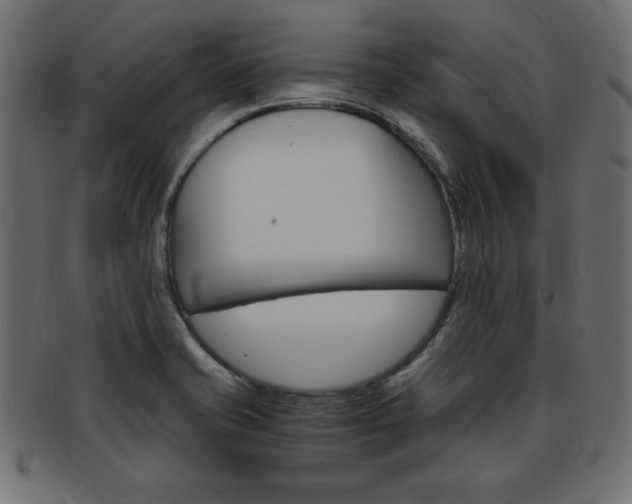 X0000094081421200710190907