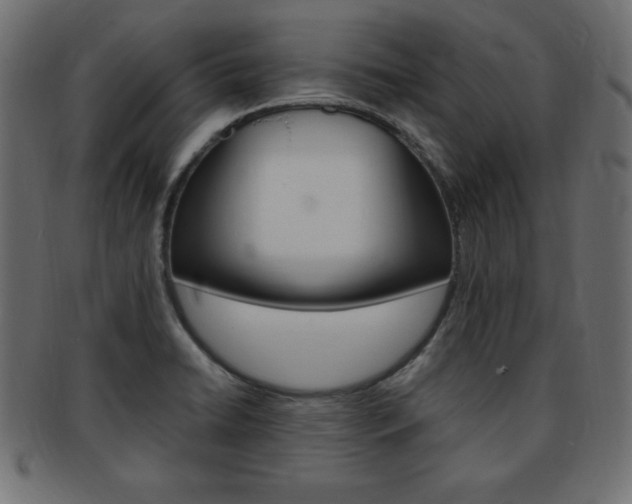 X0000094081422200710190907