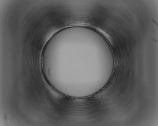 X0000094081423200710190907