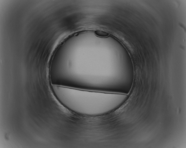 X0000094081424200710190908
