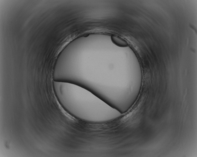 X0000094081425200710190908