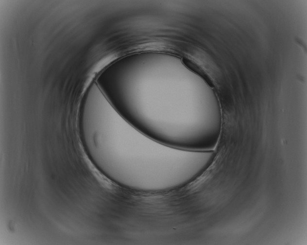 X0000094081426200710190908