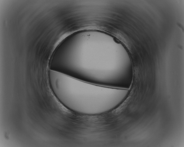 X0000094081428200710190908