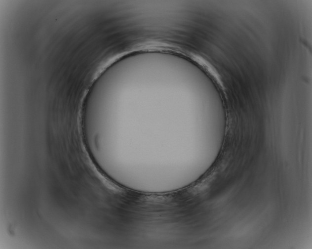 X0000094081429200710190908