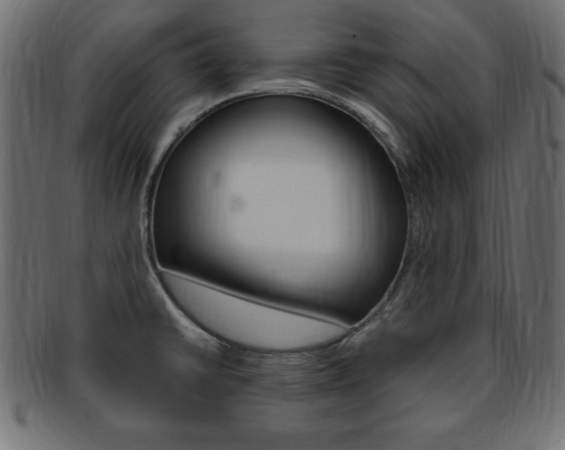 X0000094081430200710190908