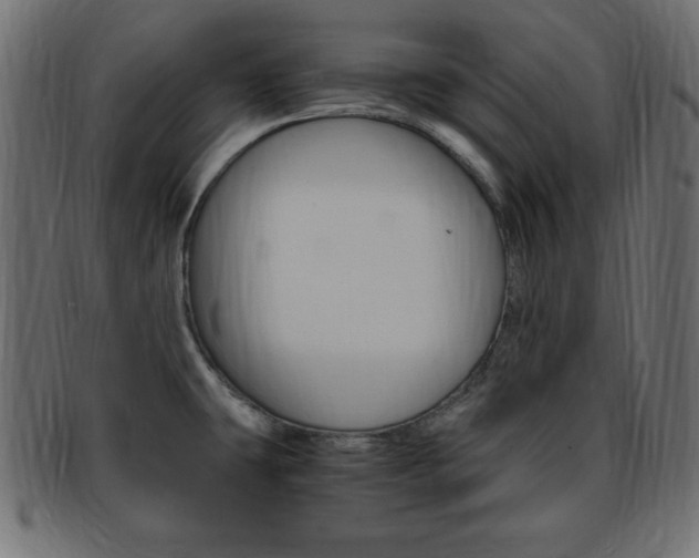 X0000094081431200710190908