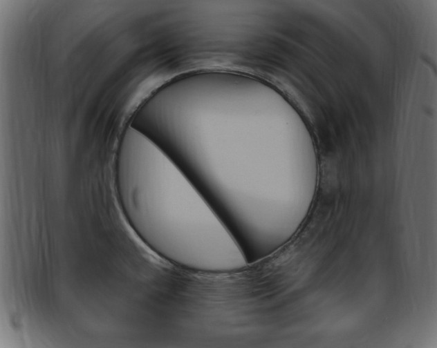 X0000094081432200710190908