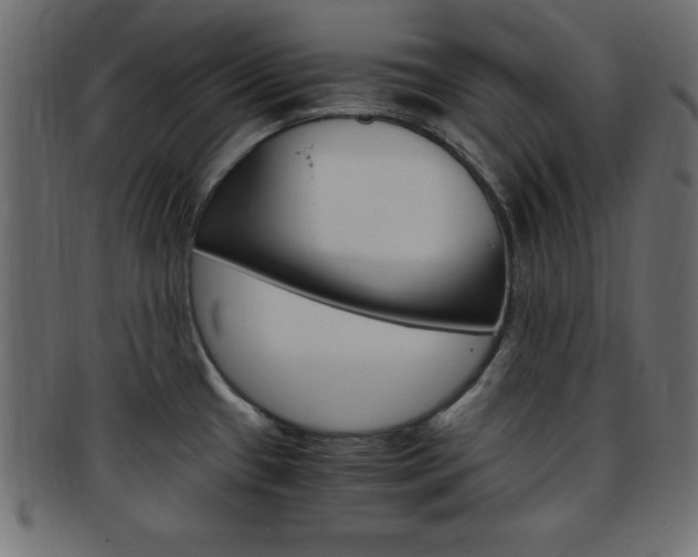 X0000094081433200710190908