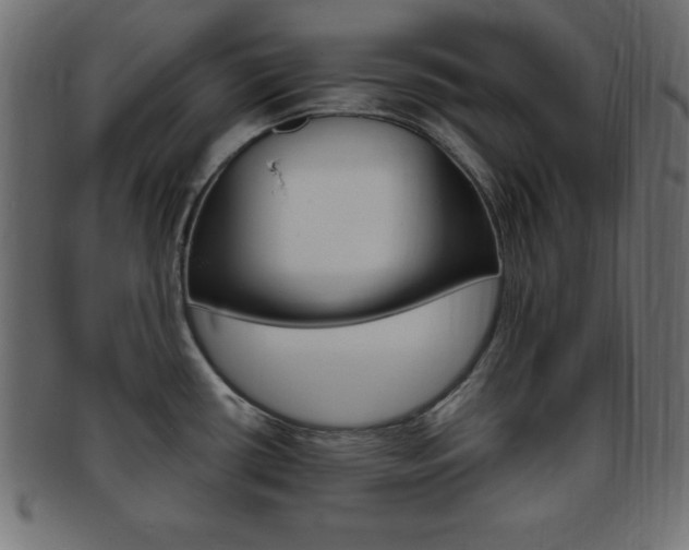 X0000094081434200710190908