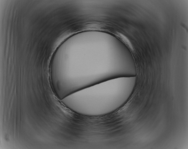 X0000094081435200710190908