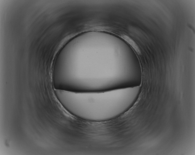 X0000094081436200710190908