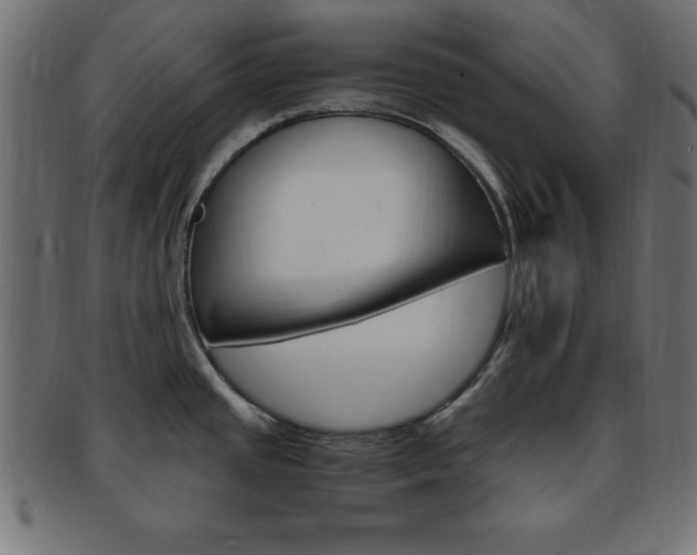 X0000094081437200710190908