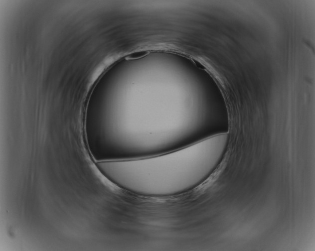 X0000094081438200710190908