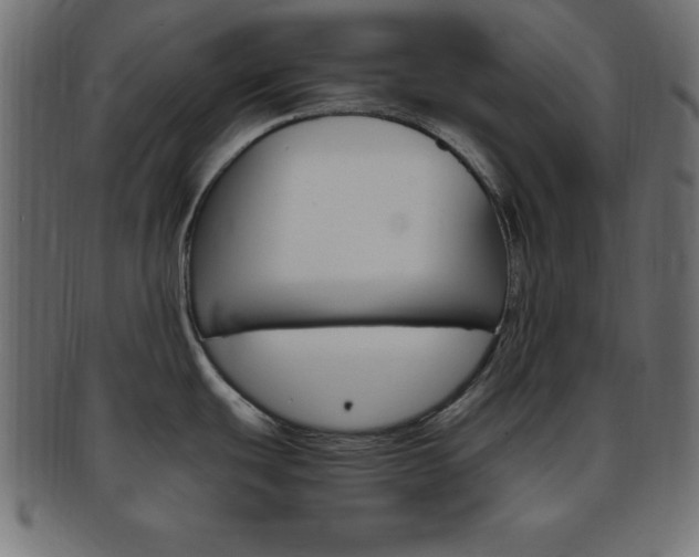 X0000094081439200710190908