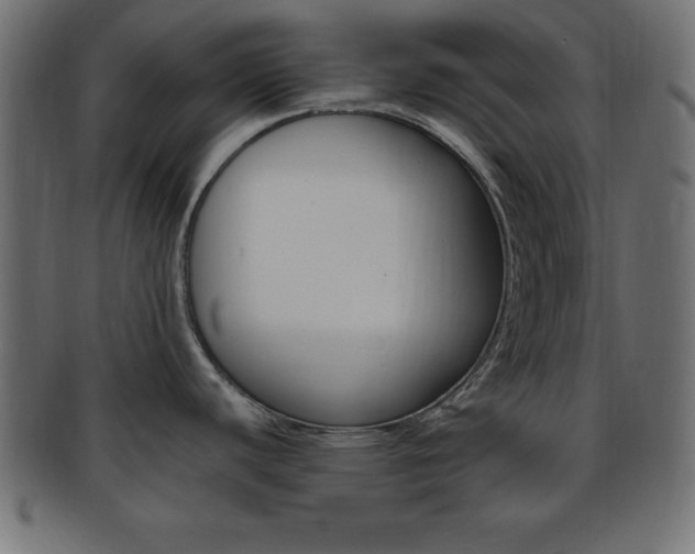 X0000094081440200710190908