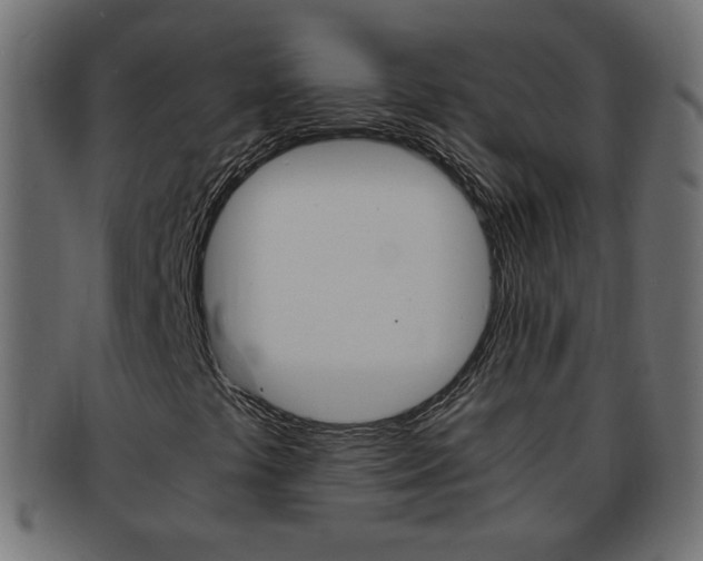 X0000094081441200710190907
