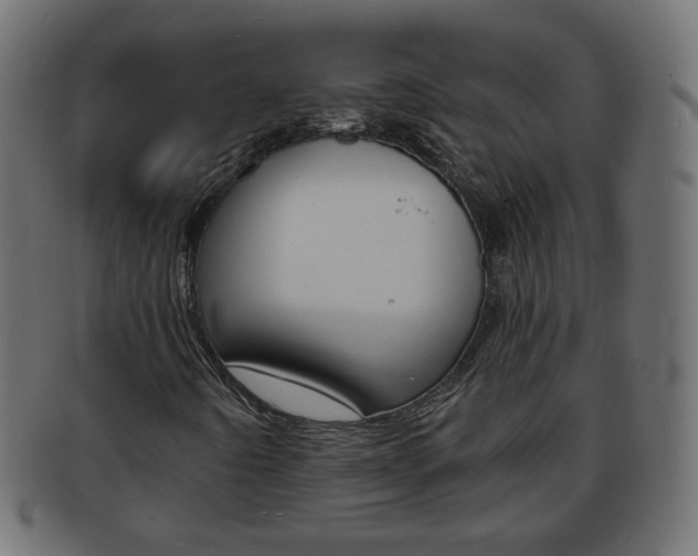 X0000094081442200710190907