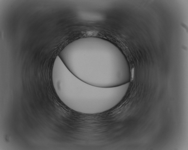 X0000094081443200710190907