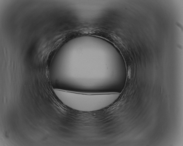 X0000094081444200710190907