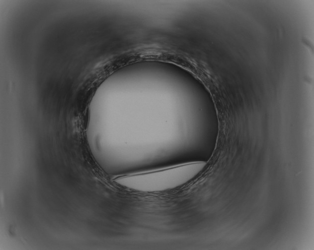 X0000094081445200710190907