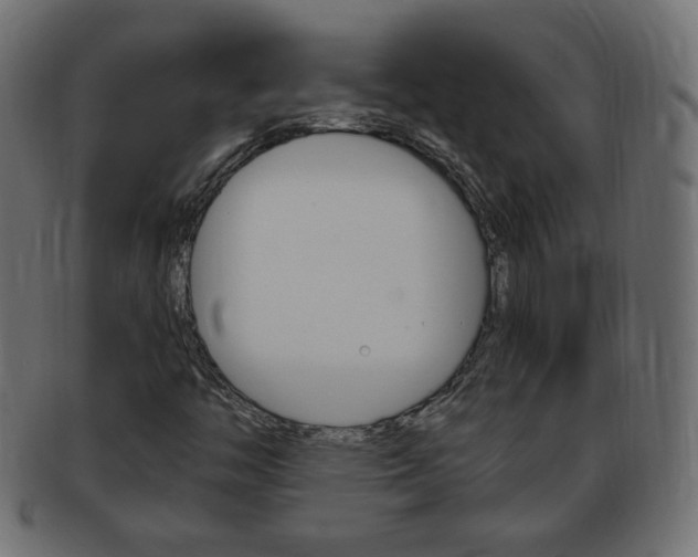 X0000094081446200710190907