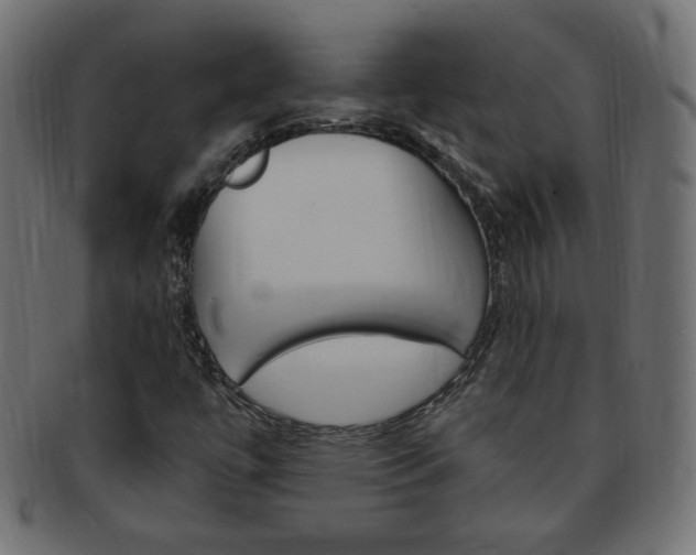 X0000094081447200710190907