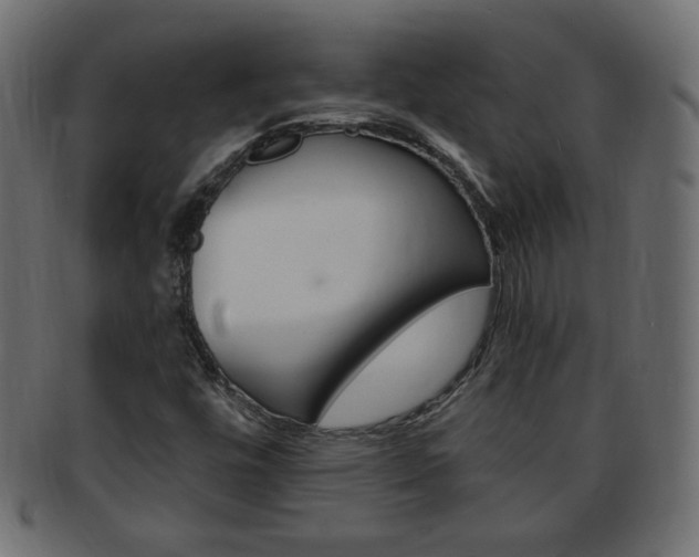 X0000094081448200710190907