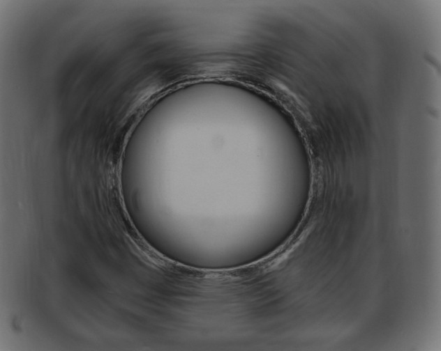 X0000094081449200710190907