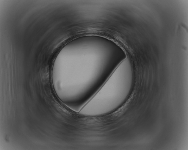 X0000094081450200710190907