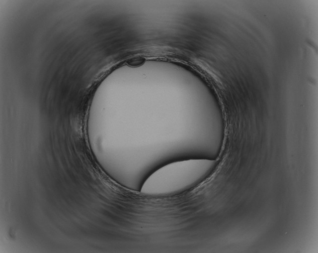 X0000094081451200710190907