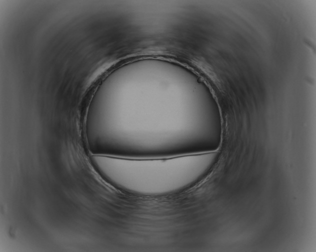 X0000094081452200710190907