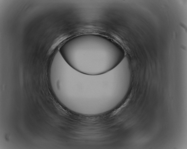 X0000094081453200710190907