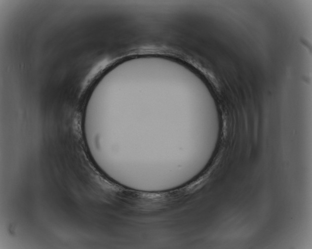 X0000094081454200710190907