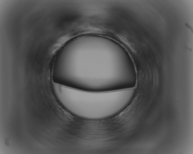 X0000094081455200710190907