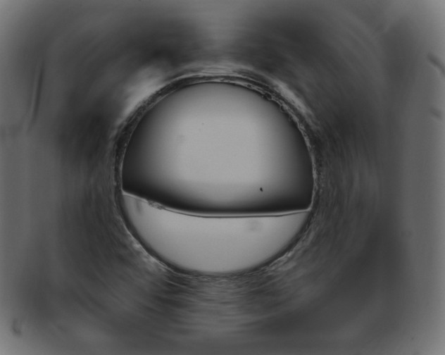 X0000094081456200710190907