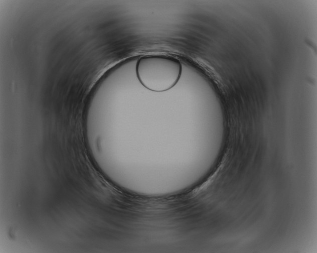 X0000094081457200710190907