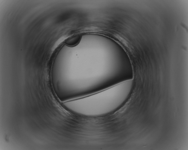 X0000094081458200710190907