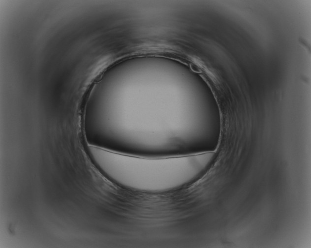 X0000094081459200710190907