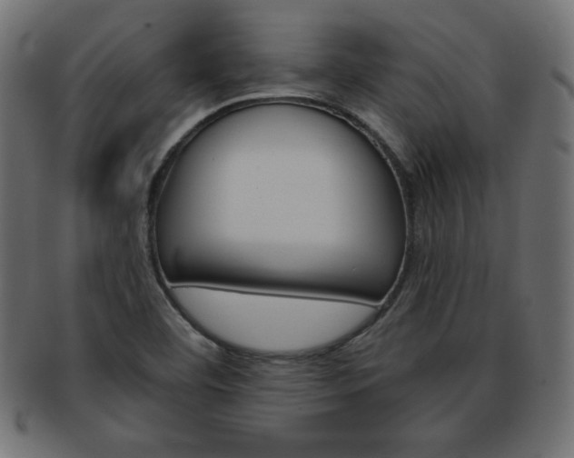 X0000094081460200710190907