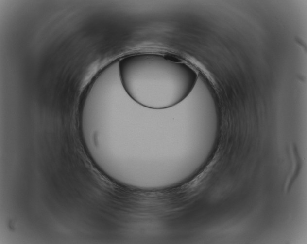 X0000094081461200710190907