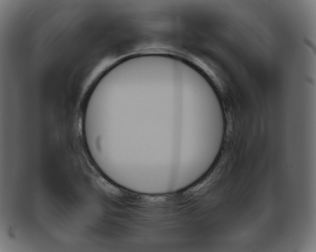 X0000094081462200710190907