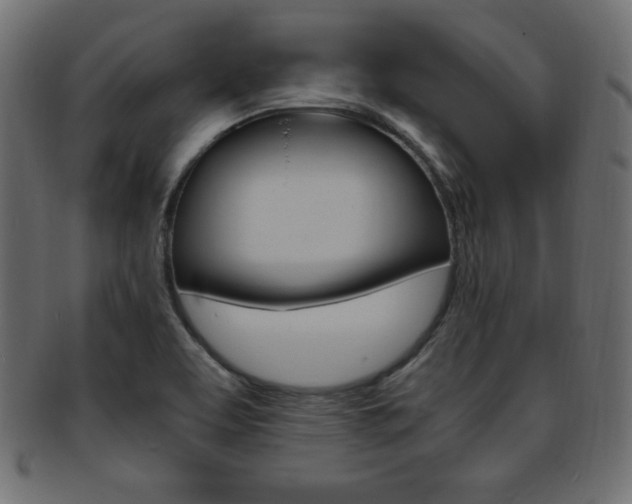 X0000094081463200710190907