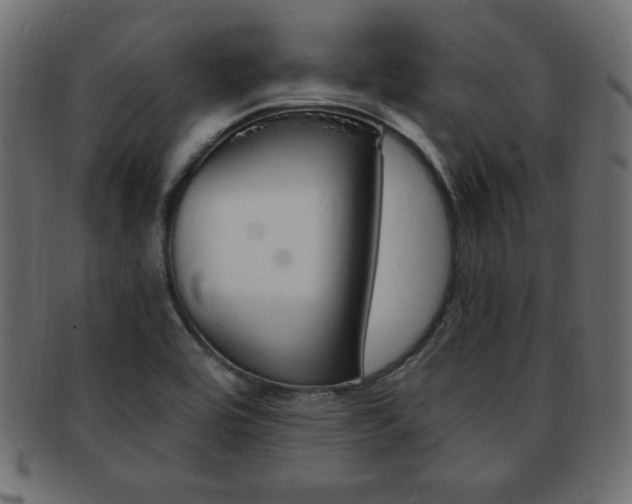 X0000094081464200710190907