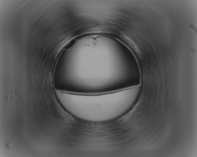 X0000094081465200710190907