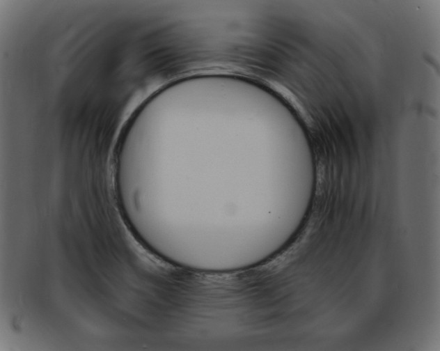 X0000094081466200710190907