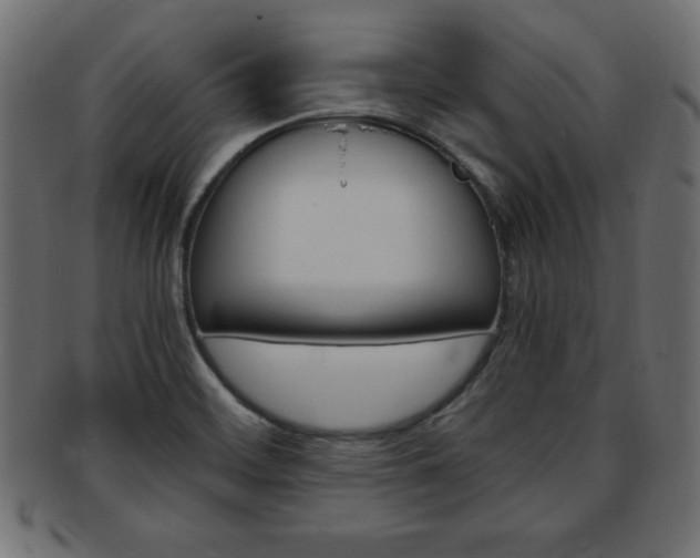 X0000094081468200710190907