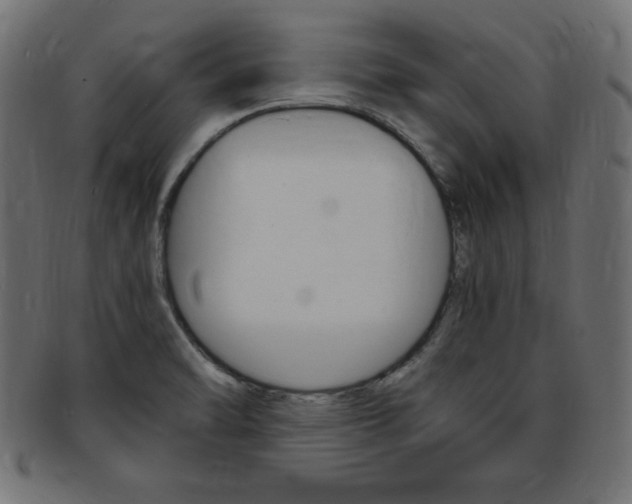 X0000094081470200710190907