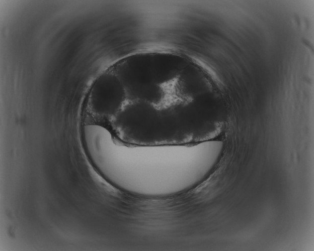 X0000094081471200710190907